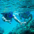 Oahu Snorkel Tours