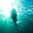 Snorkeling in oahu