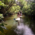 Kahana River Stand up Paddle Boarding