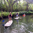 Kahana River Stand up Paddle Boarding