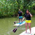 Rainforest paddleboarding