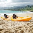 Oahu malibu kayaks pro 2 tandem ocean Kayak Rentals