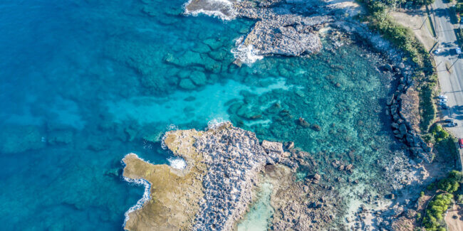 Sharks Cove Snorkel