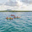 Kayaking in Kailua Bay on a kayak tour with Popoia Island, Flat Island, in the background