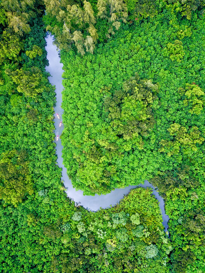 Overhead view of Kahana River