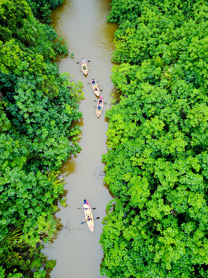 Four tandem kayak rentals paddling down Kahana River