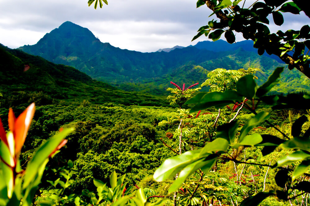 A view from Kahana River of the mountains
