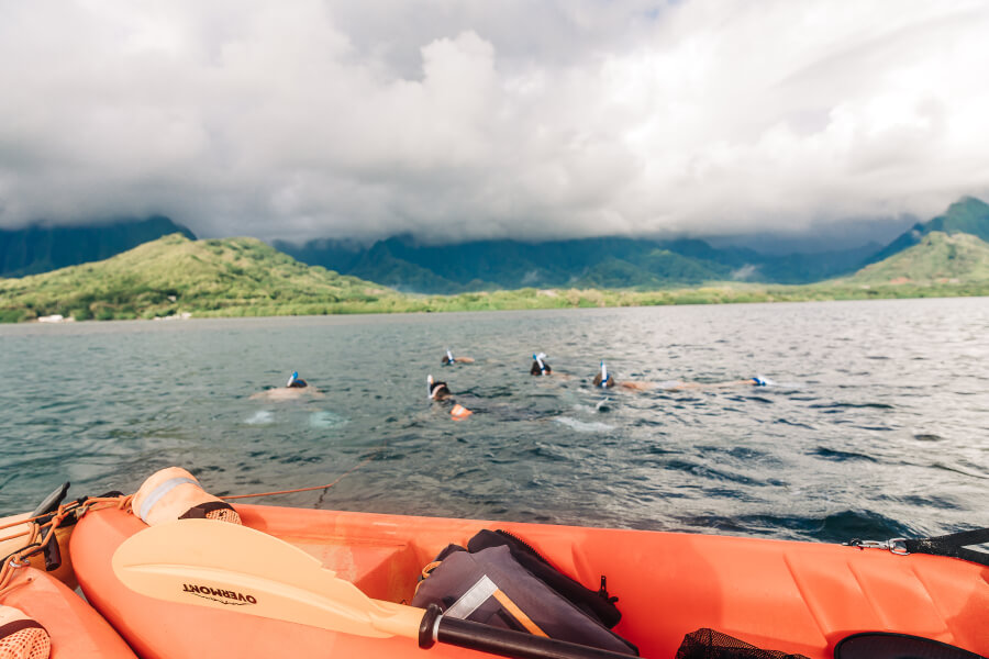 A group of people snorkeling around the Kaneohe Sandbar next to their kayak rental from Active Oahu