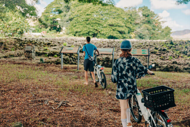 two people stand facing an ancient Hawaiian cultural site