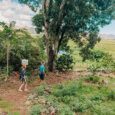 Two people walk on a path on Oahu