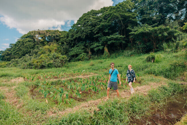 Two people walk along a garden on Oahu